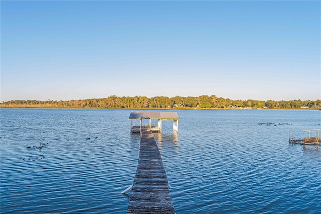 dock area with a water view