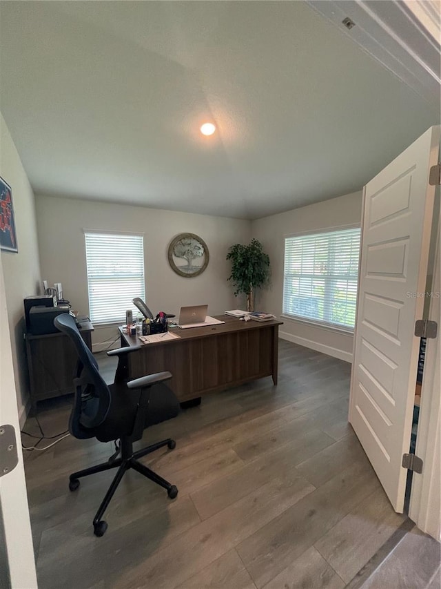 office area featuring a healthy amount of sunlight and wood-type flooring