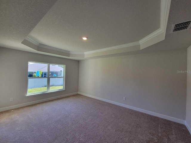 spare room featuring a raised ceiling, carpet, crown molding, and a textured ceiling