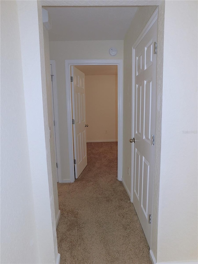 corridor featuring light colored carpet