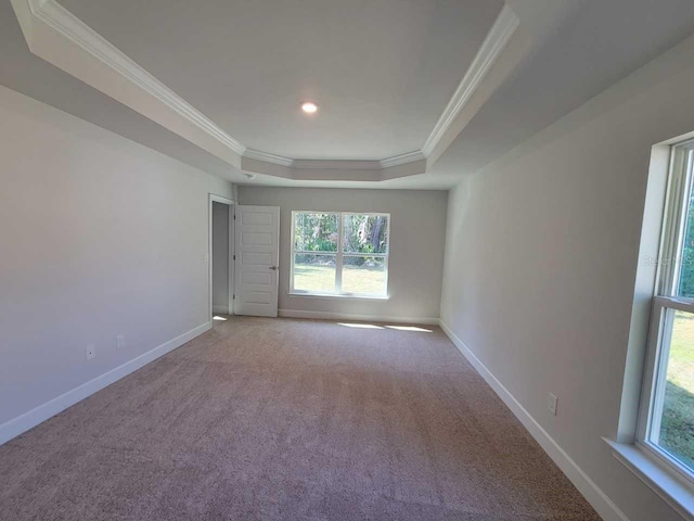 empty room with crown molding, a tray ceiling, and light carpet