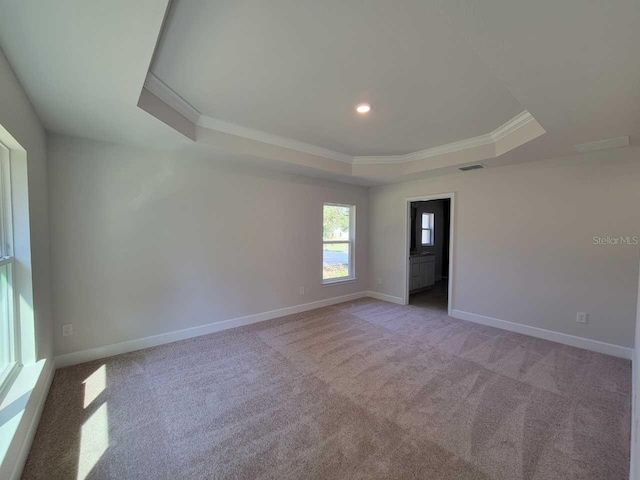 carpeted empty room featuring ornamental molding and a raised ceiling