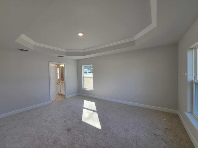 interior space with light carpet, crown molding, and a raised ceiling