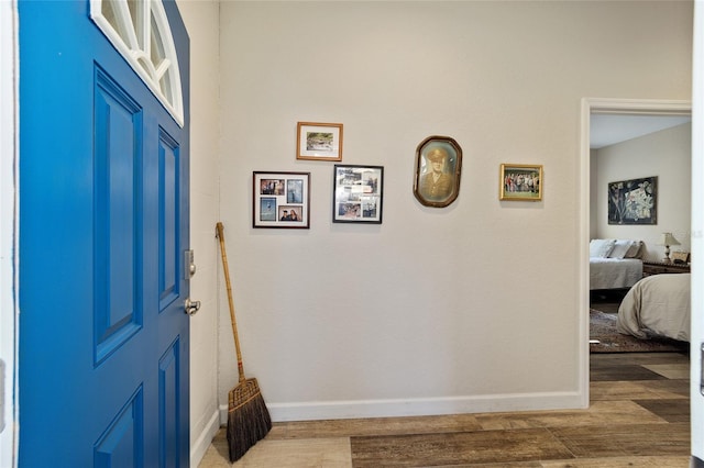 foyer entrance featuring wood-type flooring