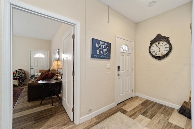 entryway with plenty of natural light and hardwood / wood-style flooring