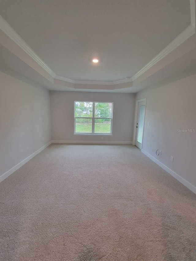 spare room with baseboards, a raised ceiling, and crown molding