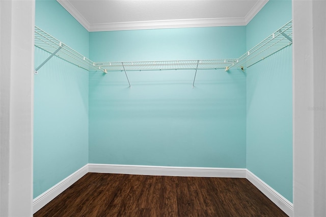 walk in closet featuring hardwood / wood-style floors