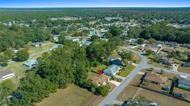 bird's eye view