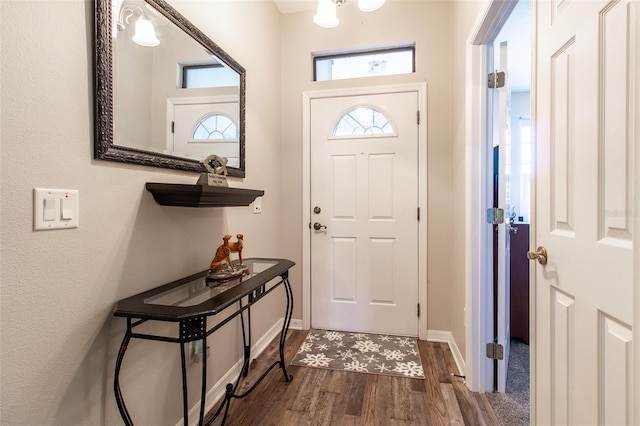 entrance foyer with dark hardwood / wood-style floors