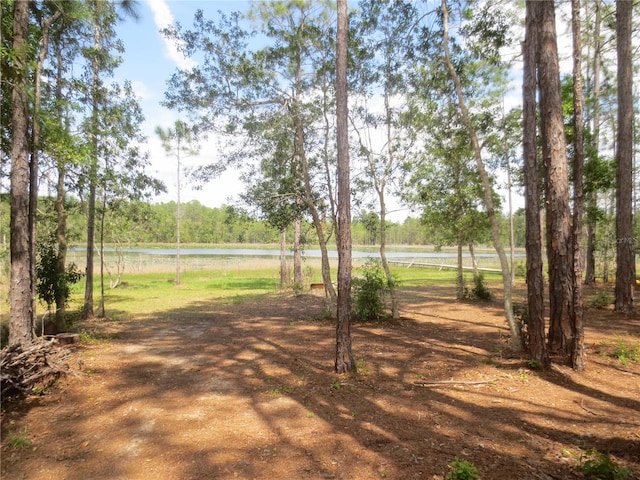 Listing photo 2 for 0 SE 10th St, Silver Springs FL 34488