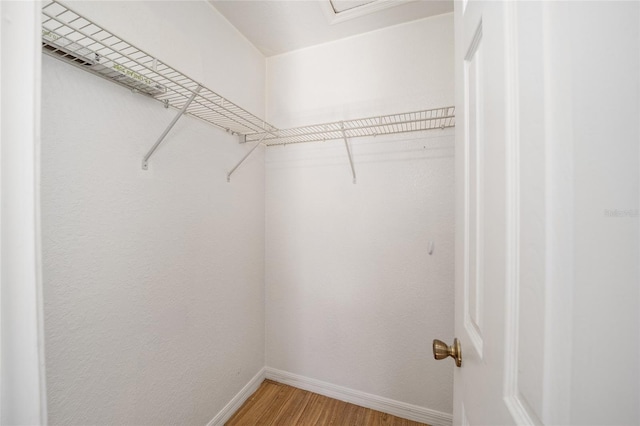 walk in closet featuring hardwood / wood-style flooring