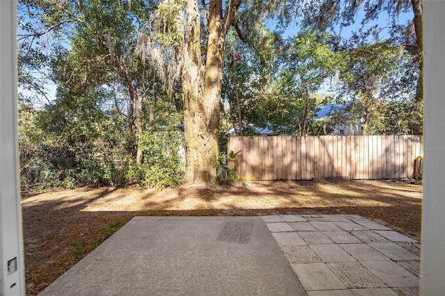 view of yard featuring a patio area