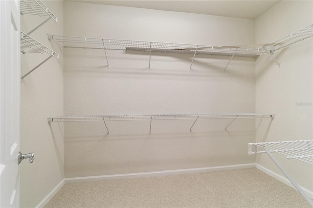 walk in closet featuring carpet