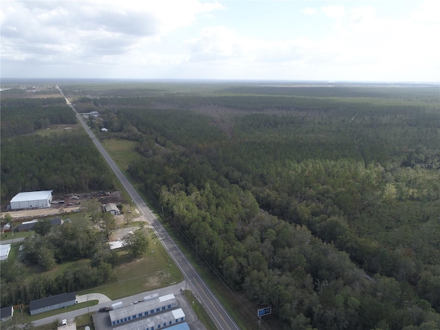 Noaddress US Highway 90, Macclenny, FL 32063 - photo 4