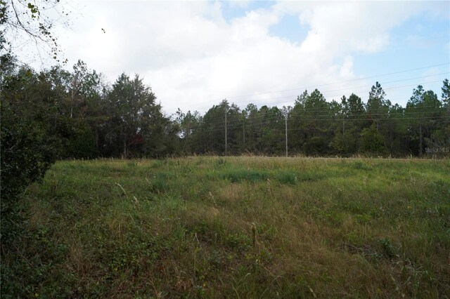 Noaddress US Highway 90, Macclenny, FL 32063 - photo 33