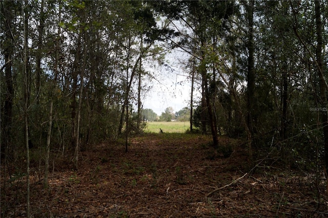 Noaddress US Highway 90, Macclenny, FL 32063 - photo 34