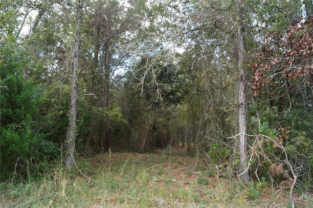 Noaddress US Highway 90, Macclenny, FL 32063 - photo 35