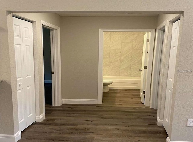 hall featuring dark hardwood / wood-style floors