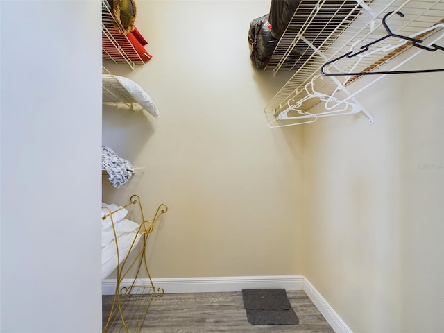 walk in closet featuring wood-type flooring