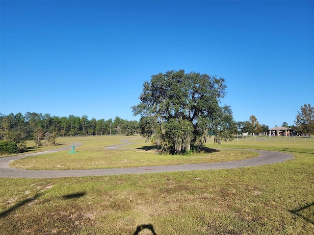 view of home's community with a lawn