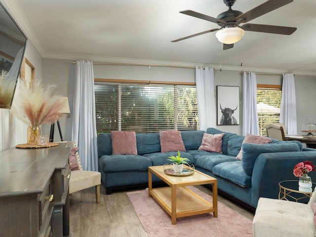 living room featuring ceiling fan, ornamental molding, and light hardwood / wood-style floors