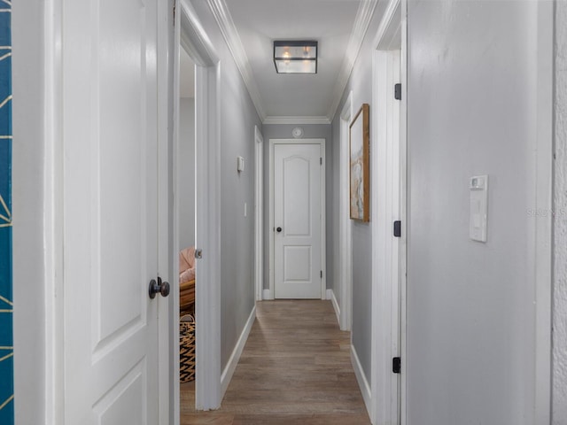 hallway featuring light hardwood / wood-style flooring and ornamental molding