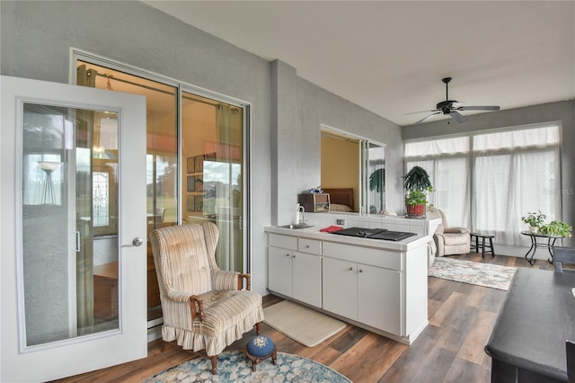 interior space featuring ceiling fan, sink, and french doors