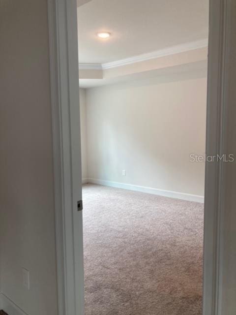 empty room featuring crown molding and carpet floors