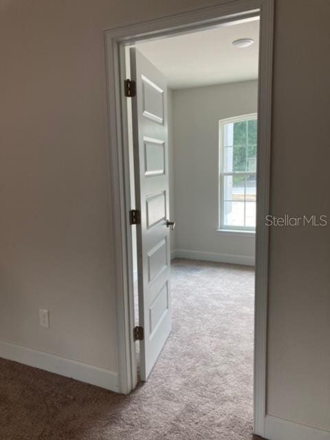 hall featuring light colored carpet