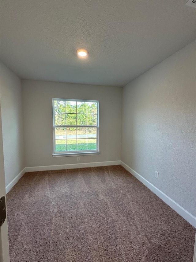 spare room featuring carpet flooring and a textured ceiling