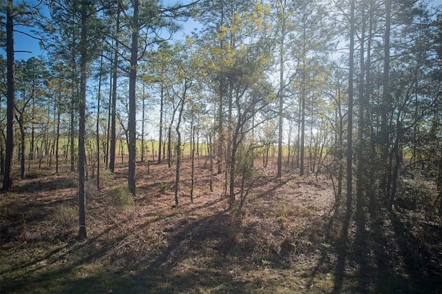 Listing photo 3 for LOT25, 26 NW Buena Vista Rd, Dunnellon FL 34431