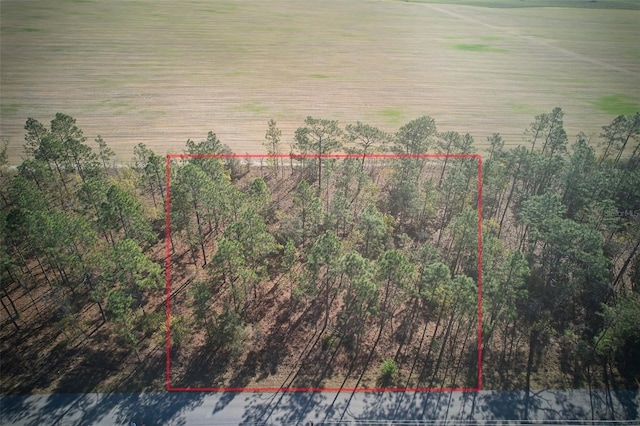 Listing photo 3 for LOT25, 26 NW Buena Vista Rd, Dunnellon FL 34431