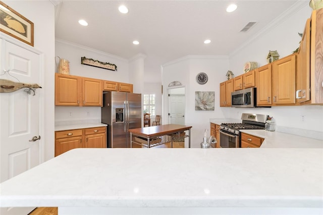 kitchen with kitchen peninsula, crown molding, and appliances with stainless steel finishes