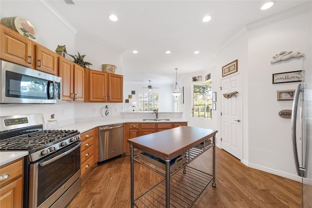 kitchen featuring kitchen peninsula, appliances with stainless steel finishes, dark hardwood / wood-style floors, and hanging light fixtures