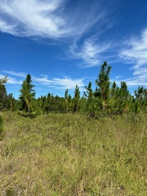 700 SE County Road 245, Lake City FL, 32055 land for sale