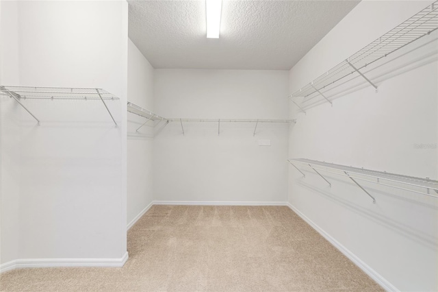 spacious closet with light carpet