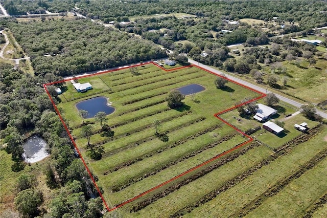 bird's eye view featuring a water view and a rural view