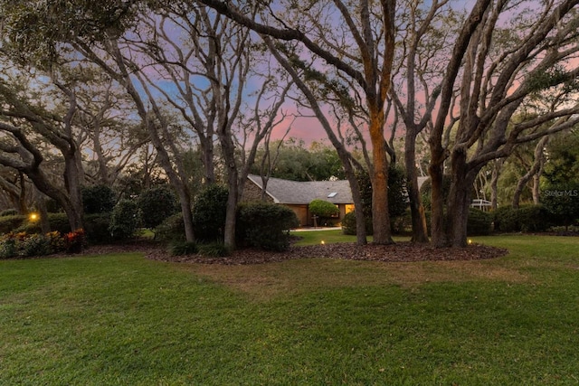 view of yard at dusk