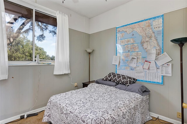 bedroom with carpet flooring