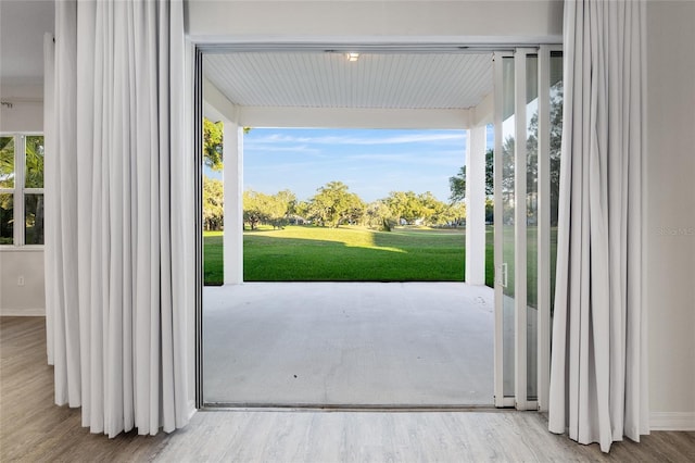 doorway with a healthy amount of sunlight and hardwood / wood-style flooring