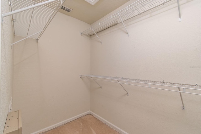 walk in closet with carpet flooring