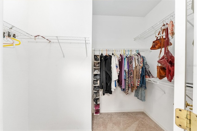 spacious closet featuring carpet floors