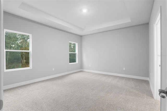 empty room with carpet flooring, plenty of natural light, and a raised ceiling