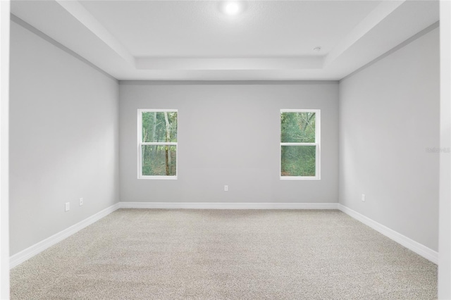 carpeted empty room featuring a raised ceiling and a wealth of natural light