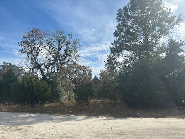 TBD NE 157th Ave, Williston FL, 32696 land for sale