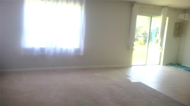 empty room featuring carpet