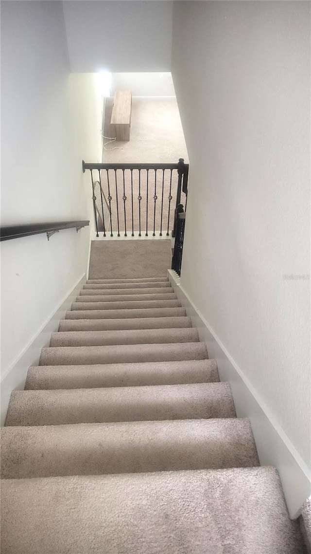 stairs featuring carpet floors