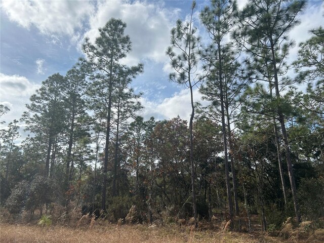 TBD NE 149th Ct, Williston FL, 32696 land for sale