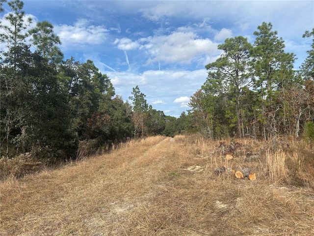 Listing photo 2 for TBD NE 149th Ct, Williston FL 32696