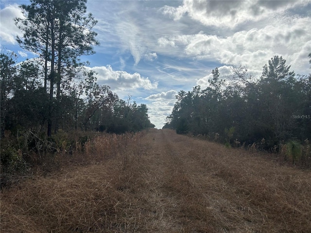 Listing photo 3 for TBD NE 149th Ct, Williston FL 32696